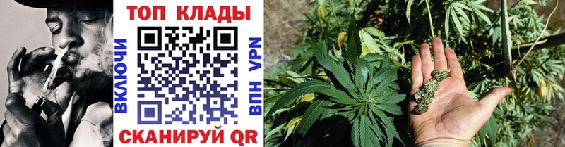 Магазины продажи наркотиков Новороссийск A-PVP  COCAIN  Гашиш  Меф  Канабис 