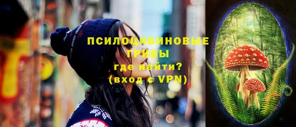 бошки Бугульма
