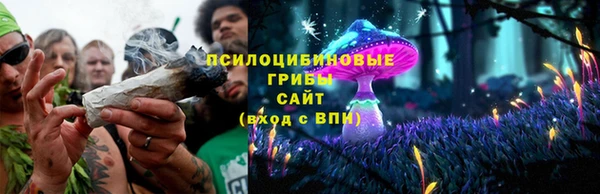 MDMA Бородино
