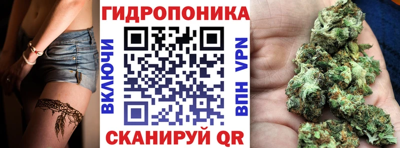 Бошки марихуана сатива  купить закладку  Новороссийск 